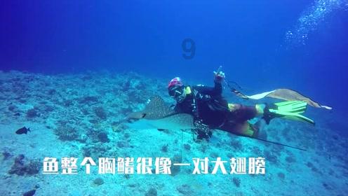 《仙剑三》播出后15年,溪风变成了婚内出轨“老三”的渣男